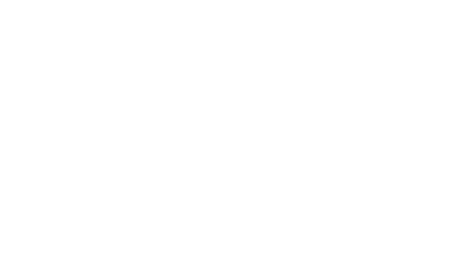 schneider